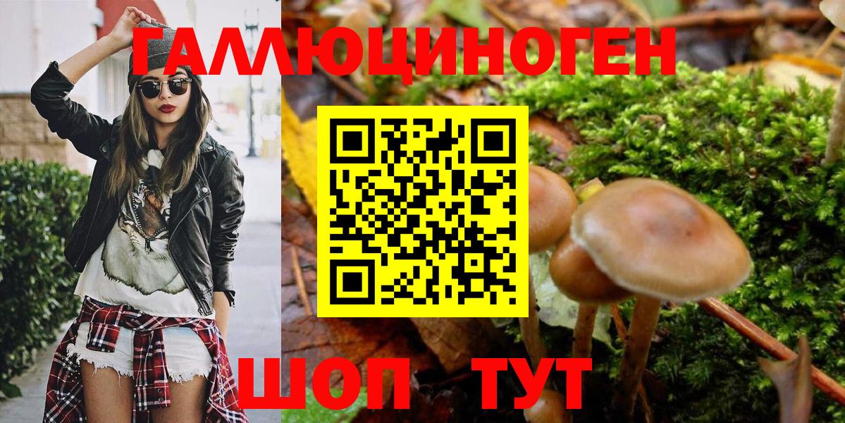 Псилоцибиновые грибы Magic Shrooms  Вход с VPN  Светлоград  Псилоцибиновые грибы Psilocybe 